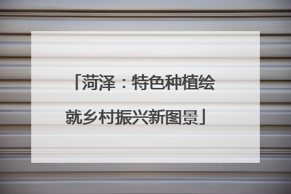 菏泽：特色种植绘就乡村振兴新图景