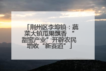 荆州区李埠镇：蔬菜大镇瓜果飘香 “甜蜜产业”开辟农民增收“新赛道”