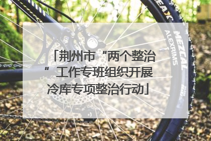 荆州市“两个整治”工作专班组织开展冷库专项整治行动