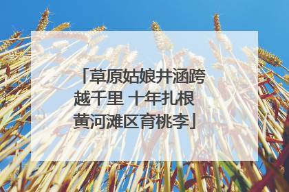 草原姑娘井涵跨越千里 十年扎根黄河滩区育桃李