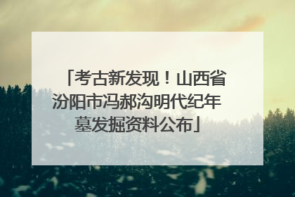 考古新发现！山西省汾阳市冯郝沟明代纪年墓发掘资料公布