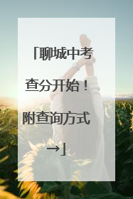 聊城中考查分开始！附查询方式→