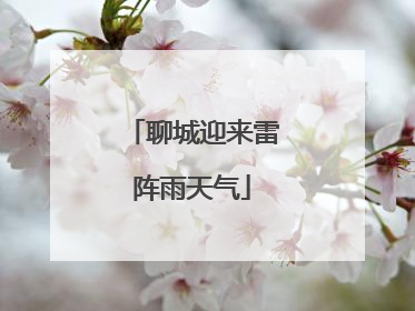 聊城迎来雷阵雨天气