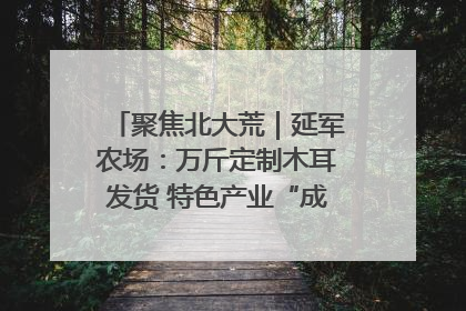 聚焦北大荒｜延军农场：万斤定制木耳发货 特色产业“成绩单”亮眼