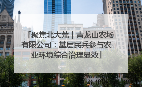 聚焦北大荒｜青龙山农场有限公司：基层民兵参与农业环境综合治理显效