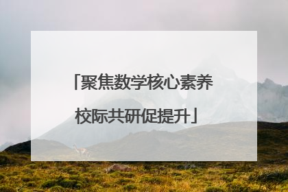 聚焦数学核心素养 校际共研促提升