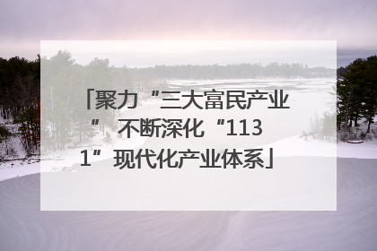 聚力“三大富民产业” 不断深化“1131”现代化产业体系