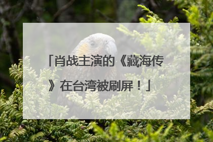肖战主演的《藏海传》在台湾被刷屏！