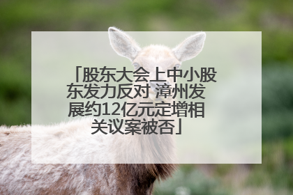 股东大会上中小股东发力反对 漳州发展约12亿元定增相关议案被否