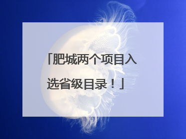 肥城两个项目入选省级目录！