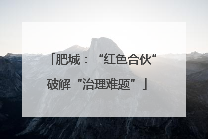 肥城：“红色合伙”破解“治理难题”