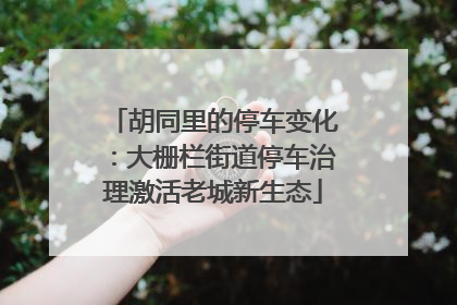胡同里的停车变化：大栅栏街道停车治理激活老城新生态