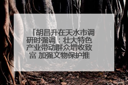胡昌升在天水市调研时强调：壮大特色产业带动群众增收致富 加强文物保护推动文化创新发展