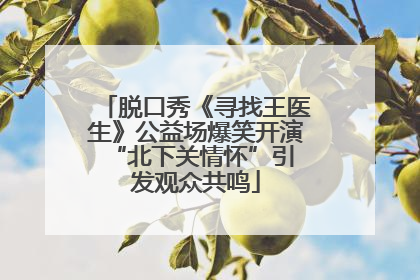 脱口秀《寻找王医生》公益场爆笑开演 “北下关情怀”引发观众共鸣