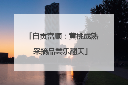 自贡富顺：黄桃成熟 采摘品尝乐翻天