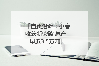 自贡沿滩：小春收获新突破 总产量近3.5万吨