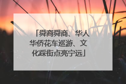 舜裔舜商、华人华侨花车巡游、文化踩街点亮宁远