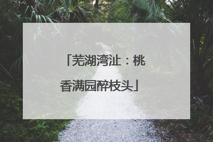 芜湖湾沚：桃香满园醉枝头