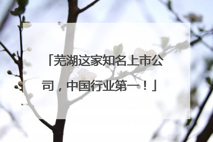 芜湖这家知名上市公司，中国行业第一！