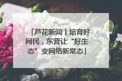 芦花新闻丨培育好网民，东营让“好生态”变网络新常态