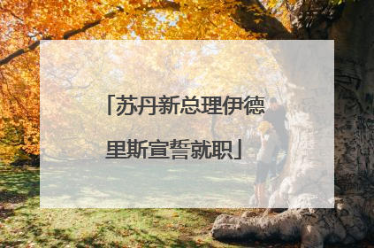苏丹新总理伊德里斯宣誓就职