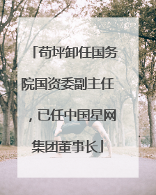 苟坪卸任国务院国资委副主任，已任中国星网集团董事长