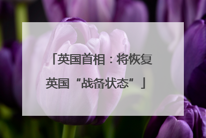 英国首相：将恢复英国“战备状态”