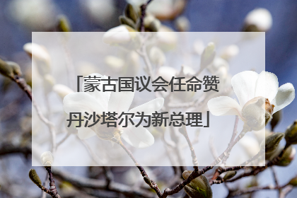 蒙古国议会任命赞丹沙塔尔为新总理
