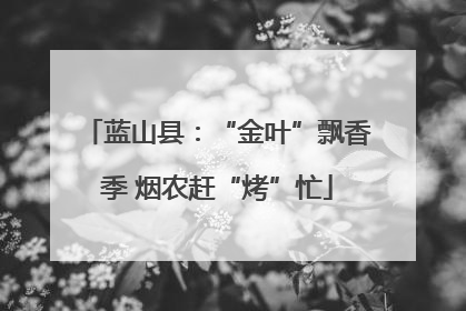 蓝山县：“金叶”飘香季 烟农赶“烤”忙