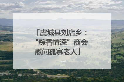 虞城县刘店乡：“粽香情深”商会慰问孤寡老人