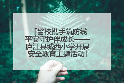 警校携手筑防线 平安守护伴成长——庐江县城西小学开展安全教育主题活动