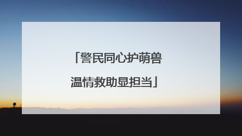 警民同心护萌兽 温情救助显担当