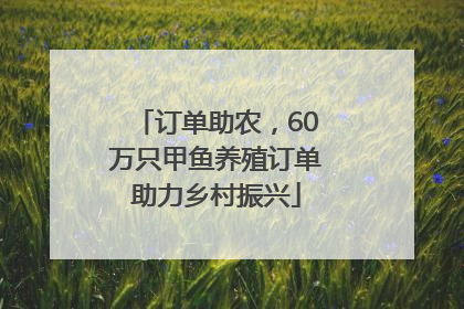 订单助农，60万只甲鱼养殖订单助力乡村振兴
