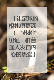 让足球的根扎得更深！“苏超”见证一群普通人发自内心的热爱