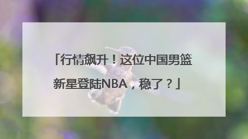 行情飙升！这位中国男篮新星登陆NBA，稳了？