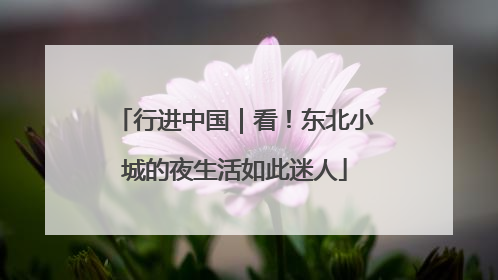 行进中国｜看！东北小城的夜生活如此迷人