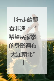 行走赣鄱看非遗：“希望岳家拳的身影遍布大江南北”