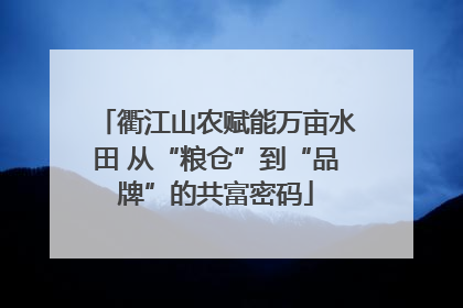 衢江山农赋能万亩水田 从“粮仓”到“品牌”的共富密码