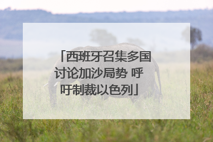 西班牙召集多国讨论加沙局势 呼吁制裁以色列