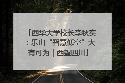 西华大学校长李秋实：乐山“智慧低空”大有可为｜西望四川