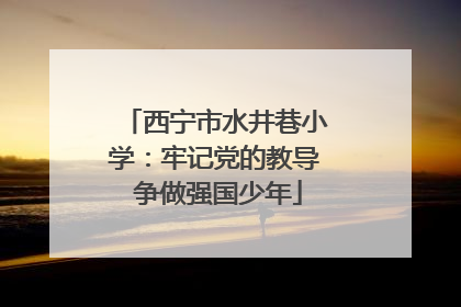 西宁市水井巷小学：牢记党的教导 争做强国少年