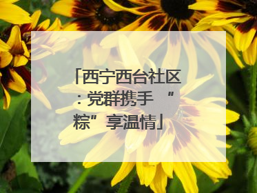 西宁西台社区：党群携手 “粽”享温情