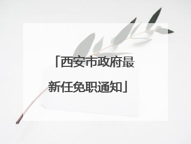 西安市政府最新任免职通知
