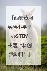 西安黄河实验小学举办STEM主题“科创活动日”