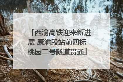 西渝高铁迎来新进展 康渝段站前四标桃园二号隧道贯通