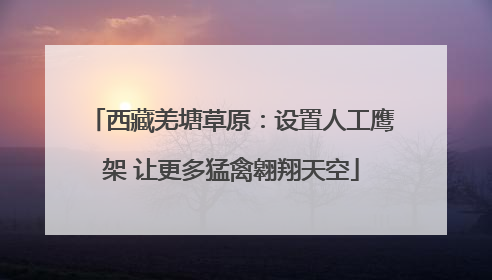 西藏羌塘草原：设置人工鹰架 让更多猛禽翱翔天空