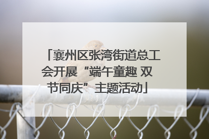 襄州区张湾街道总工会开展“端午童趣 双节同庆”主题活动