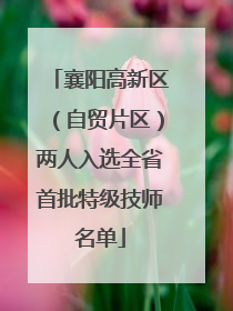 襄阳高新区（自贸片区）两人入选全省首批特级技师名单
