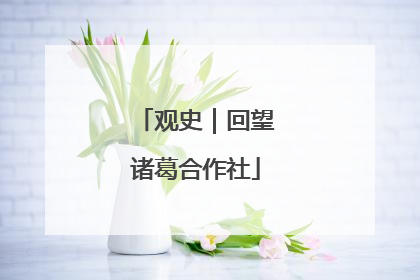 观史｜回望诸葛合作社