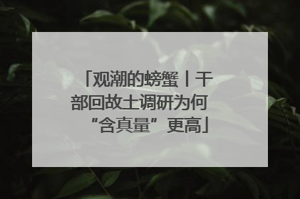 观潮的螃蟹丨干部回故土调研为何“含真量”更高
